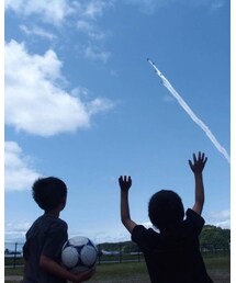 ブルーインパルス | その他