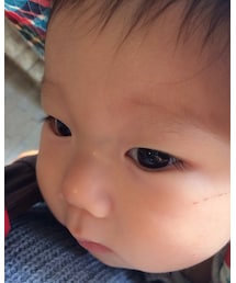 ☆☆☆ | その他