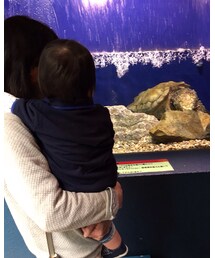 初水族館☆ | その他