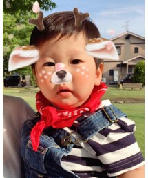 ダイソー | その他