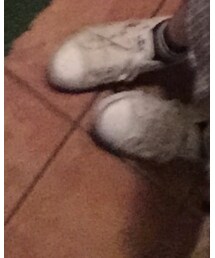 PUMA | スニーカー