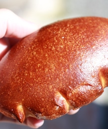 岳人 | クリームパン(その他)