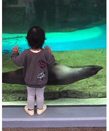 Handmade | スウェット