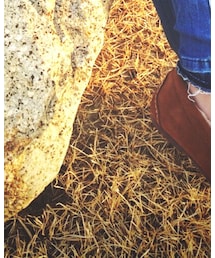 Lee | モカシン/デッキシューズ