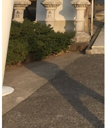 チャイハネ | その他パンツ