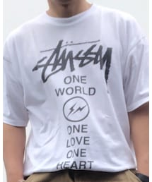 STUSSY | Tシャツ/カットソー