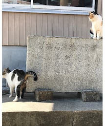 こ | その他