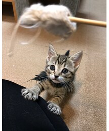 ♡ | その他