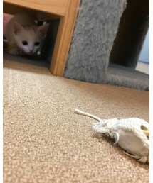 ♡ | その他