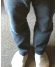 靴下屋 | ソックス/靴下