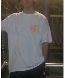 STUSSY | Tシャツ/カットソー
