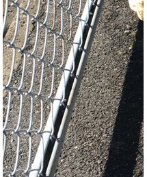 MIKI HOUSE | スニーカー