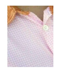 COMME des GARCONS SHIRT | シャツ/ブラウス
