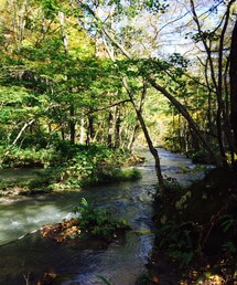 奥入瀬渓流 | 奥入瀬渓流(その他)