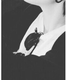 Ray-Ban | サングラス