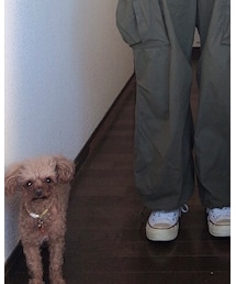 ちろる🐩 | その他