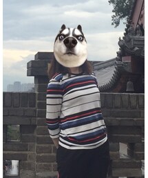 Massimo Dutti | Tシャツ/カットソー