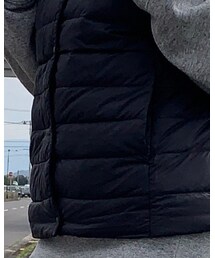 UNIQLO | ダウンベスト