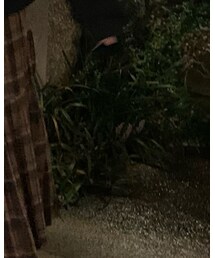 FEKETE | スカート