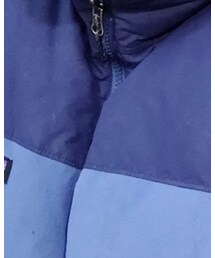 patagonia | ダウンベスト