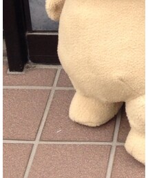 テッド | その他