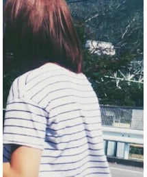 Hollister | Tシャツ/カットソー