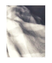 Merona | その他トップス