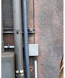 Ray BEAMS | シャツ/ブラウス