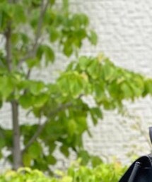 VINTAGE | その他パンツ