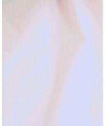 WEGO | Tシャツ/カットソー