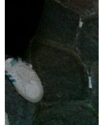 adidas | スニーカー