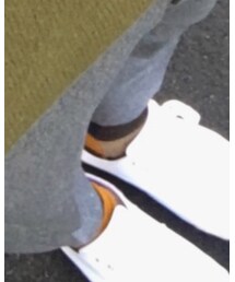 靴下屋 | ソックス/靴下