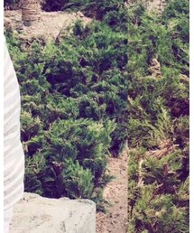 babyGAP | Tシャツ/カットソー