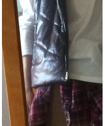 貰いもの | ダウンベスト