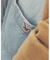 Hollister | シャツ/ブラウス