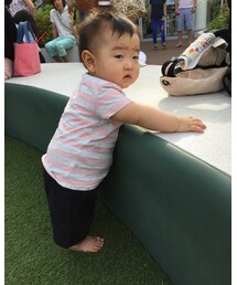 つむち | その他