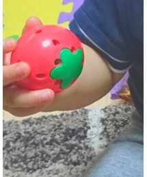 いちご | その他