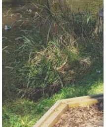 SPINNS | スカート