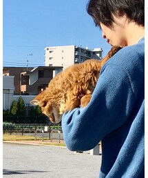 somari imagination | その他