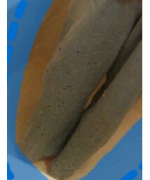 GU | デニムパンツ