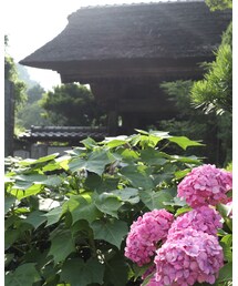 ❁ | その他