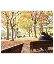 ❁ | その他
