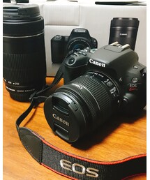 Canon | (カメラ/カメラグッズ)