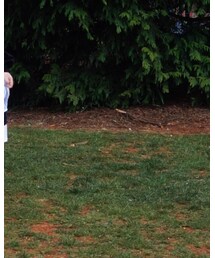 南十字 | ブルゾン