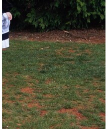 moonshadow | ワンピース