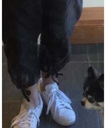 adidas | スニーカー