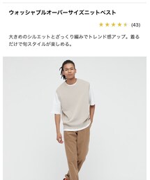 UNIQLO | XLサイズ(ニット/セーター)