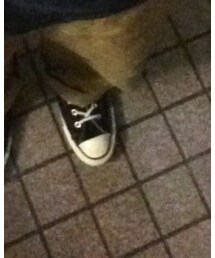 CONVERSE | スニーカー