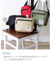 Dickies | ボディバッグ/ウエストポーチ