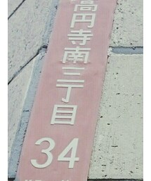 グレープフルーツ | ハット